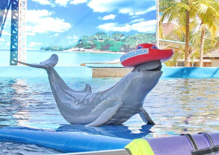 Pattaya Dolphin World